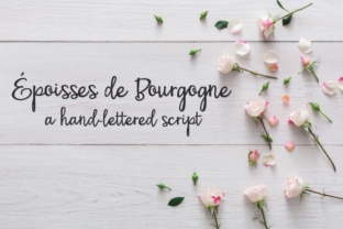 PN Époisses De Bourgogne: A Bouncy Script Font Review